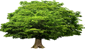 污水處理設備篇:一體化污水處理設備的優勢和 一體化設備運維及故障檢查